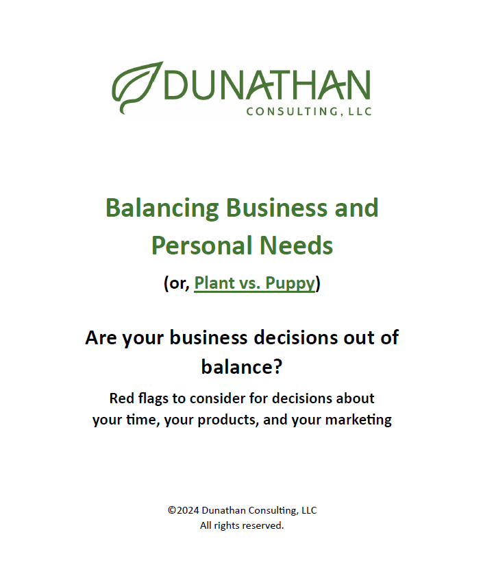 Are your decisions out of balance? Red flags to consider for decisions about your time, your products and your marketing.